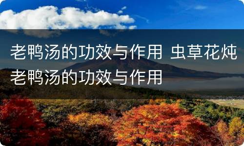 老鸭汤的功效与作用 虫草花炖老鸭汤的功效与作用