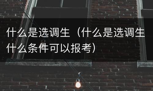 什么是选调生（什么是选调生什么条件可以报考）