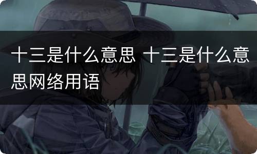 十三是什么意思 十三是什么意思网络用语