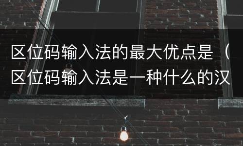 区位码输入法的最大优点是（区位码输入法是一种什么的汉字输入方法）