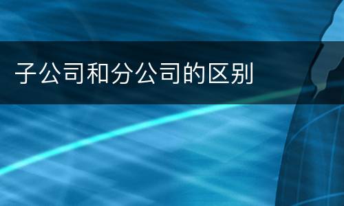 子公司和分公司的区别