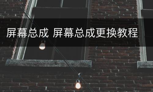 屏幕总成 屏幕总成更换教程