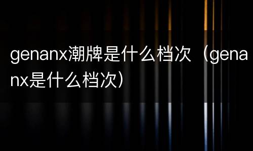 genanx潮牌是什么档次（genanx是什么档次）