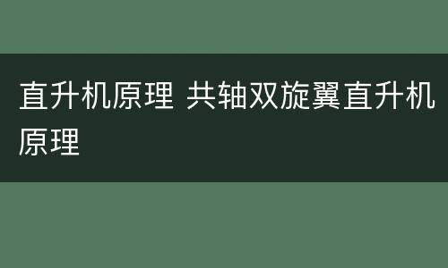 直升机原理 共轴双旋翼直升机原理