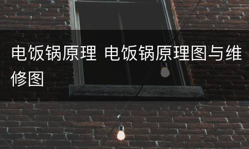 电饭锅原理 电饭锅原理图与维修图