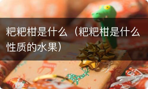 粑粑柑是什么（粑粑柑是什么性质的水果）