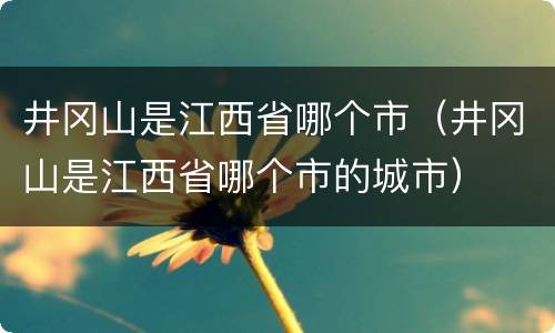 井冈山是江西省哪个市（井冈山是江西省哪个市的城市）