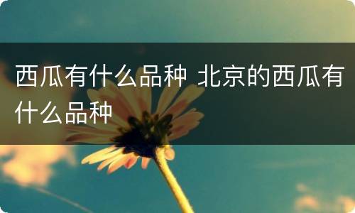 西瓜有什么品种 北京的西瓜有什么品种