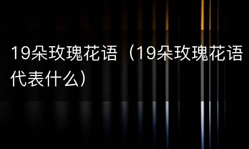 19朵玫瑰花语（19朵玫瑰花语代表什么）