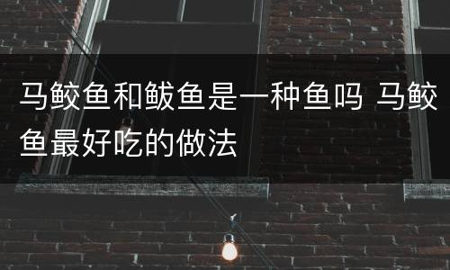 马鲛鱼和鲅鱼是一种鱼吗 马鲛鱼最好吃的做法