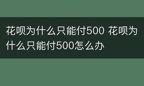 花呗为什么只能付500 花呗为什么只能付500怎么办