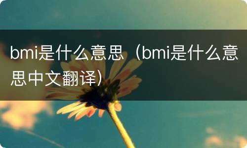 bmi是什么意思（bmi是什么意思中文翻译）