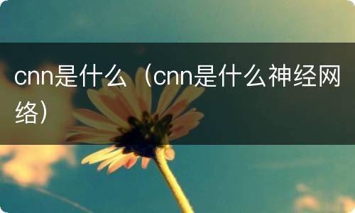 cnn是什么（cnn是什么神经网络）