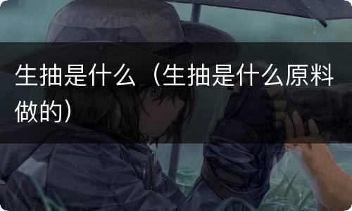 生抽是什么（生抽是什么原料做的）