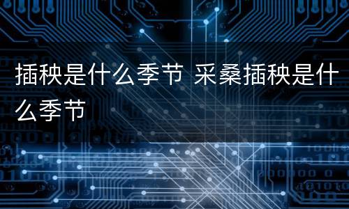 插秧是什么季节 采桑插秧是什么季节