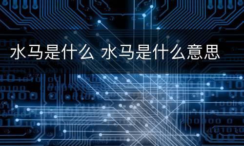 水马是什么 水马是什么意思