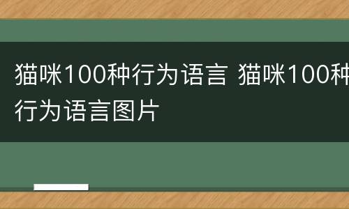 猫咪100种行为语言 猫咪100种行为语言图片