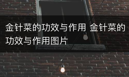 金针菜的功效与作用 金针菜的功效与作用图片