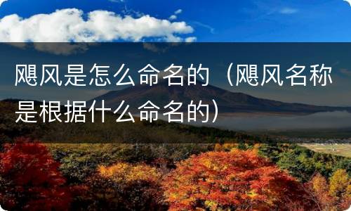 飓风是怎么命名的（飓风名称是根据什么命名的）