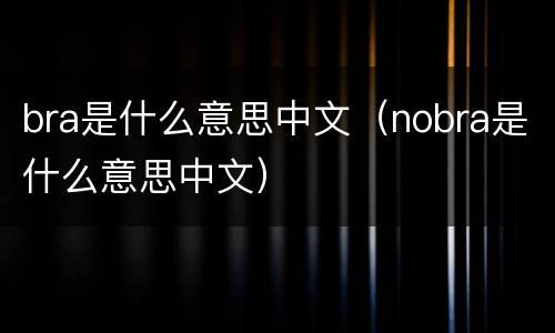 bra是什么意思中文（nobra是什么意思中文）