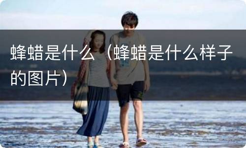 蜂蜡是什么（蜂蜡是什么样子的图片）