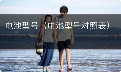 电池型号（电池型号对照表）