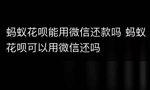 蚂蚁花呗能用微信还款吗 蚂蚁花呗可以用微信还吗