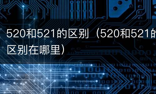 520和521的区别（520和521的区别在哪里）