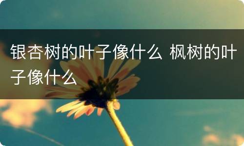 银杏树的叶子像什么 枫树的叶子像什么