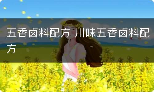 五香卤料配方 川味五香卤料配方
