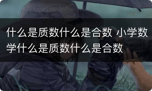 什么是质数什么是合数 小学数学什么是质数什么是合数
