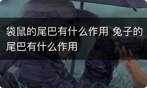 袋鼠的尾巴有什么作用 兔子的尾巴有什么作用