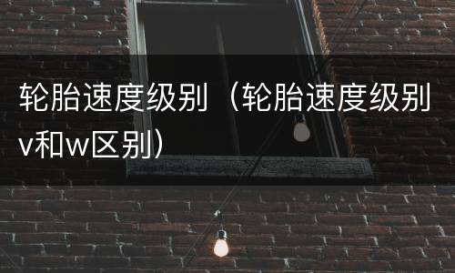 轮胎速度级别（轮胎速度级别v和w区别）