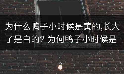 为什么鸭子小时候是黄的,长大了是白的? 为何鸭子小时候是黄的,长大了是白的?