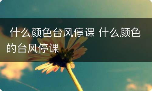  什么颜色台风停课 什么颜色的台风停课