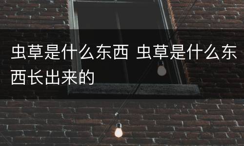虫草是什么东西 虫草是什么东西长出来的