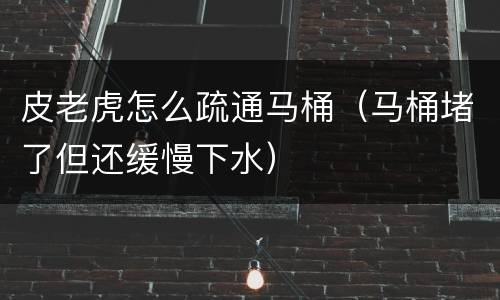 皮老虎怎么疏通马桶（马桶堵了但还缓慢下水）