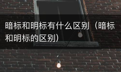 暗标和明标有什么区别（暗标和明标的区别）