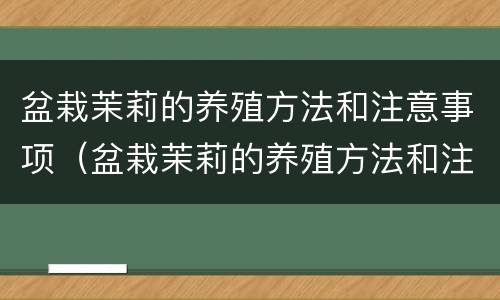 盆栽茉莉的养殖方法和注意事项（盆栽茉莉的养殖方法和注意事项三角梅）