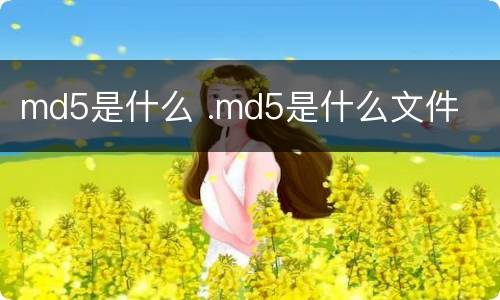 md5是什么 .md5是什么文件