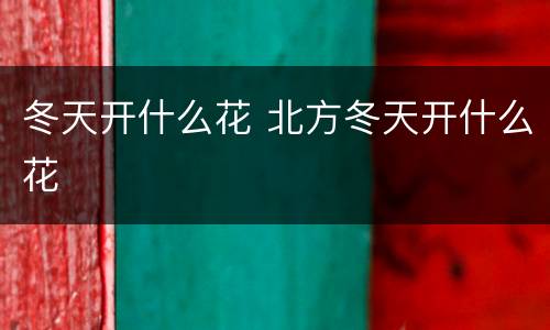 冬天开什么花 北方冬天开什么花