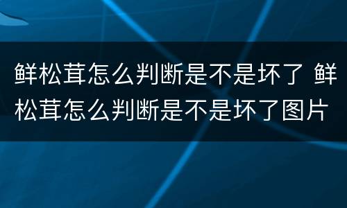 鲜松茸怎么判断是不是坏了 鲜松茸怎么判断是不是坏了图片