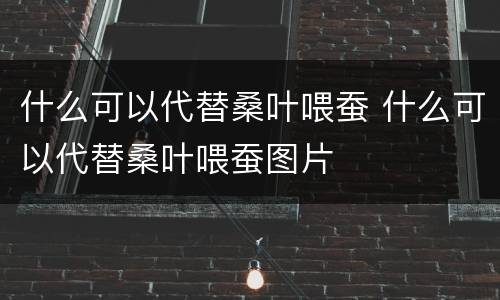 什么可以代替桑叶喂蚕 什么可以代替桑叶喂蚕图片