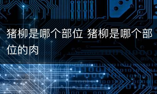 猪柳是哪个部位 猪柳是哪个部位的肉