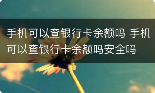手机可以查银行卡余额吗 手机可以查银行卡余额吗安全吗