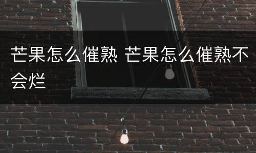 芒果怎么催熟 芒果怎么催熟不会烂