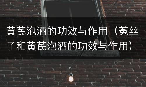 黄芪泡酒的功效与作用（菟丝子和黄芪泡酒的功效与作用）