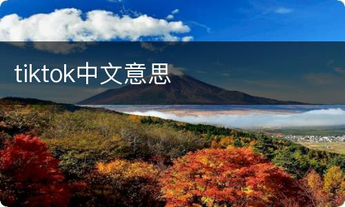 tiktok中文意思
