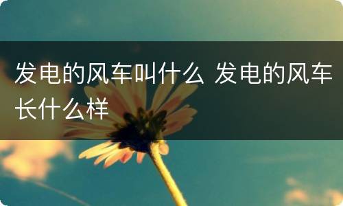 发电的风车叫什么 发电的风车长什么样