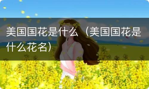 美国国花是什么（美国国花是什么花名）
